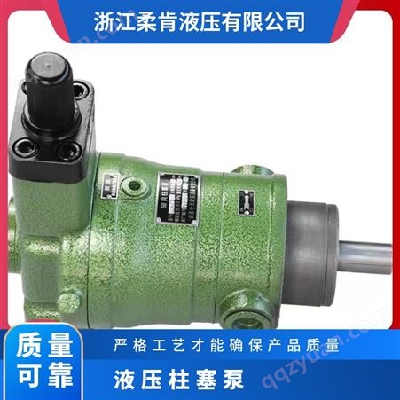 技圣牌 160MCY14-1B 多种型号 联系定制 轴向柱塞泵液压