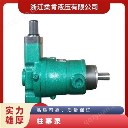 启栋高压油泵40/ 63/ YCY14-1B轴向柱塞泵液压 质量保证