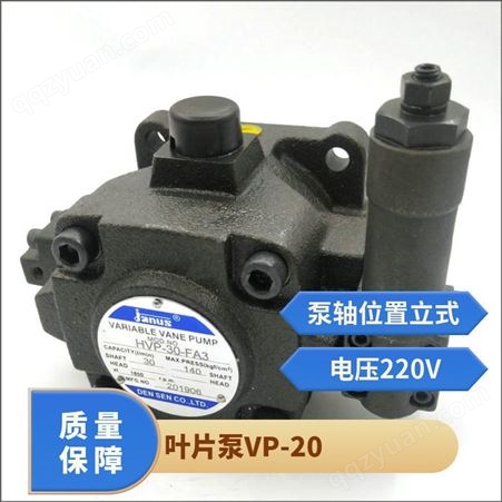 叶片泵 VP-20 规格齐全 可定制 工厂 艾顿液压 柔肯