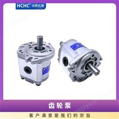 HCHC长源齿轮泵 CBW-F306ALP CC 电机泵套联轴器